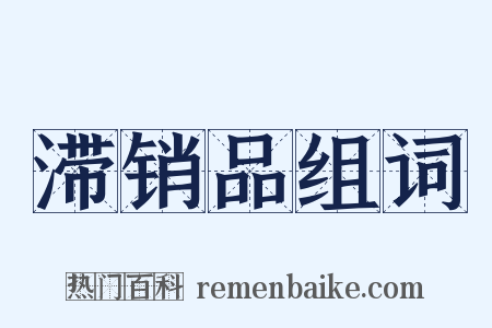 滞销品组词是什么意思的图片